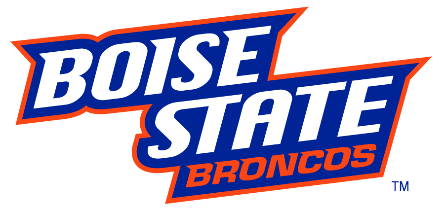 Boise State Broncos 2002-2012 Wordmark Logo v7 iron on transfers for clothing